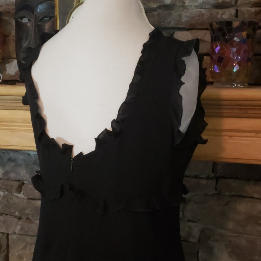 SALE⚡️ADRIANNA PAPELL SILK RUFFLE  SZ 10/12 READ - Picture 9 of 13